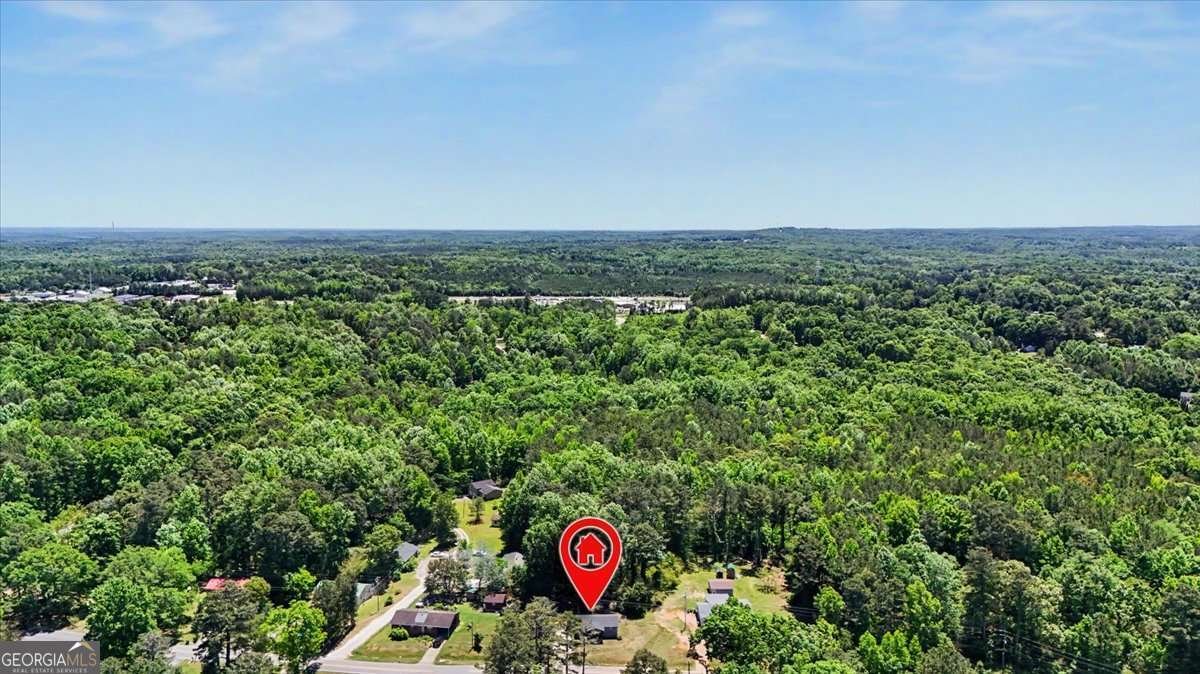 290 Dock Hyde Road Carrollton - Photo 29