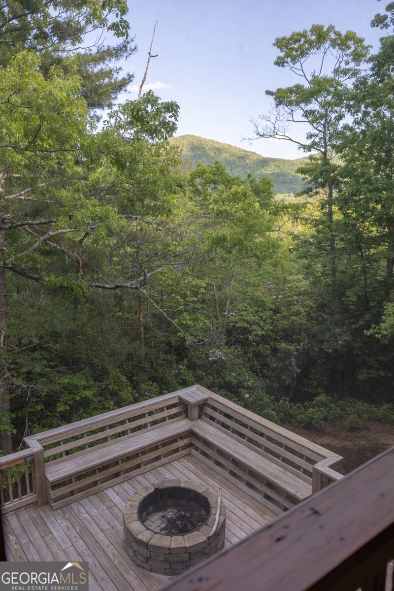 351 John Dick Overlook Blue Ridge - Photo 46