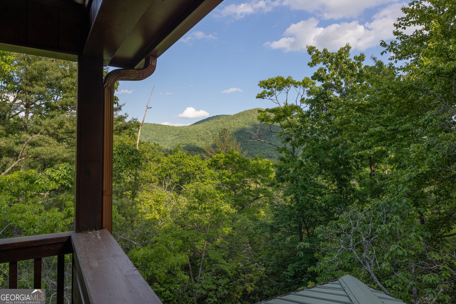 351 John Dick Overlook Blue Ridge - Photo 52