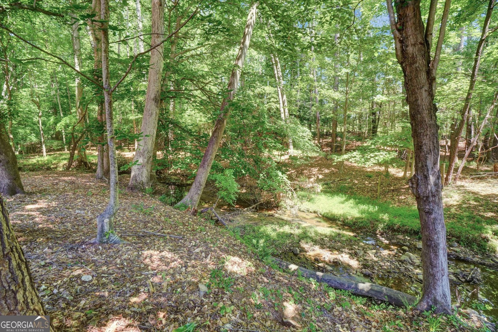 6005 Lake Windsor Parkway Buford - Photo 50