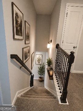 3165 Dowsing Lane Powder Spgs - Photo 10