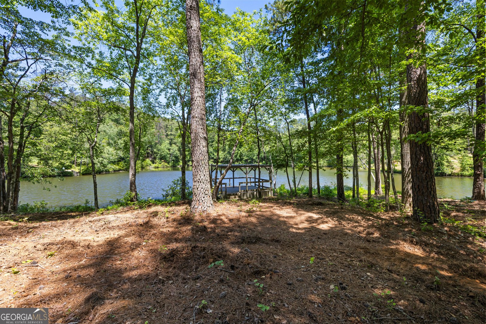 354 Turner Road Newnan - Photo 64