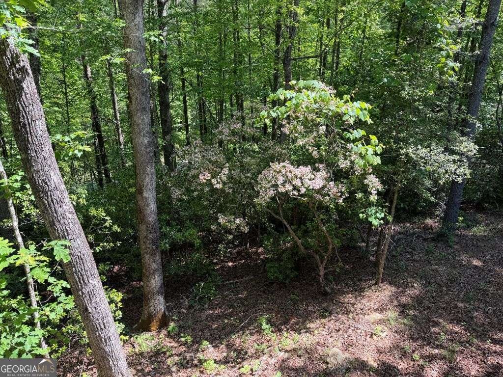 5860 Old Bucktown Road Ellijay - Photo 9