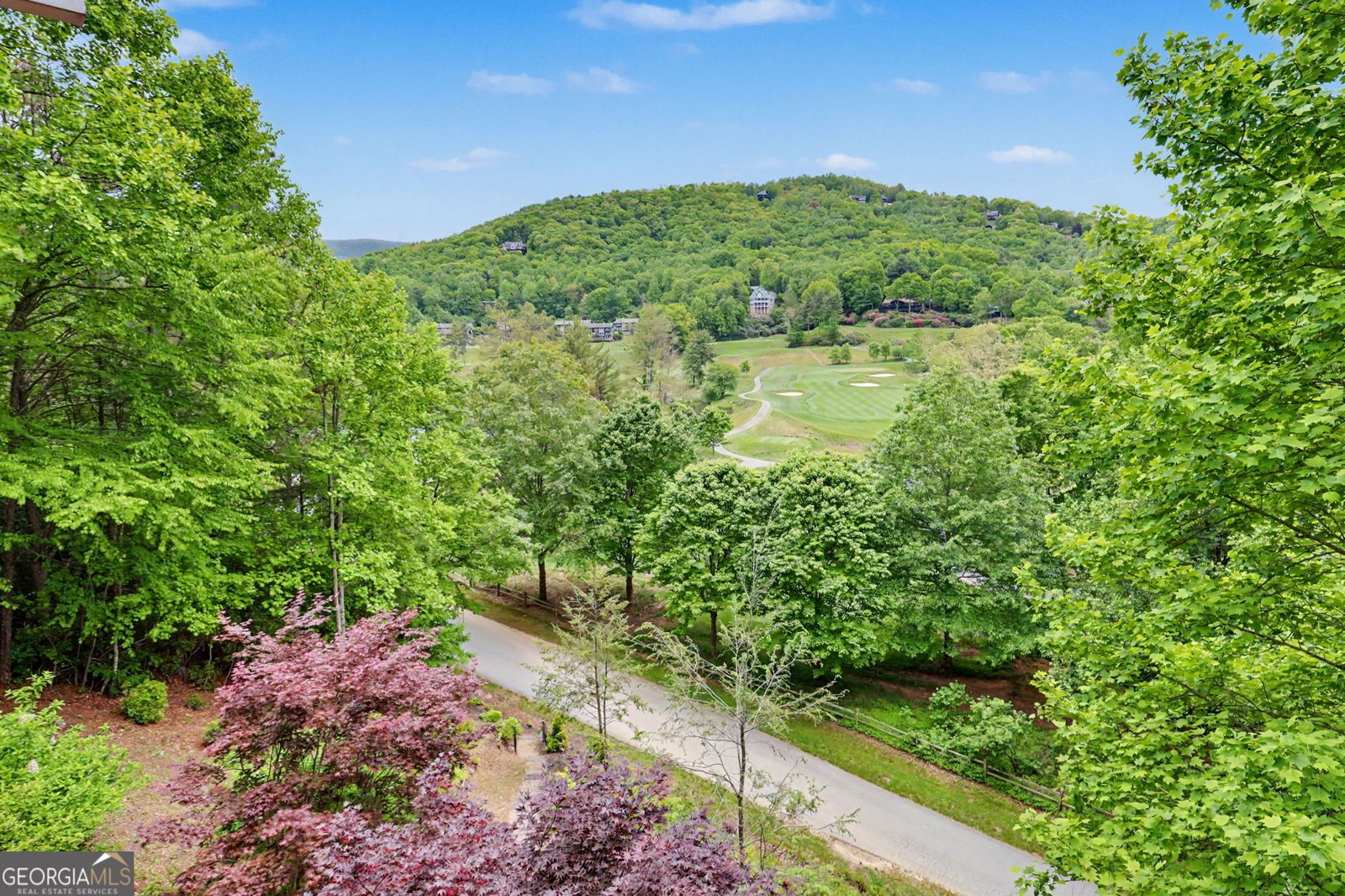854 Saddleback Circle Dillard - Photo 28