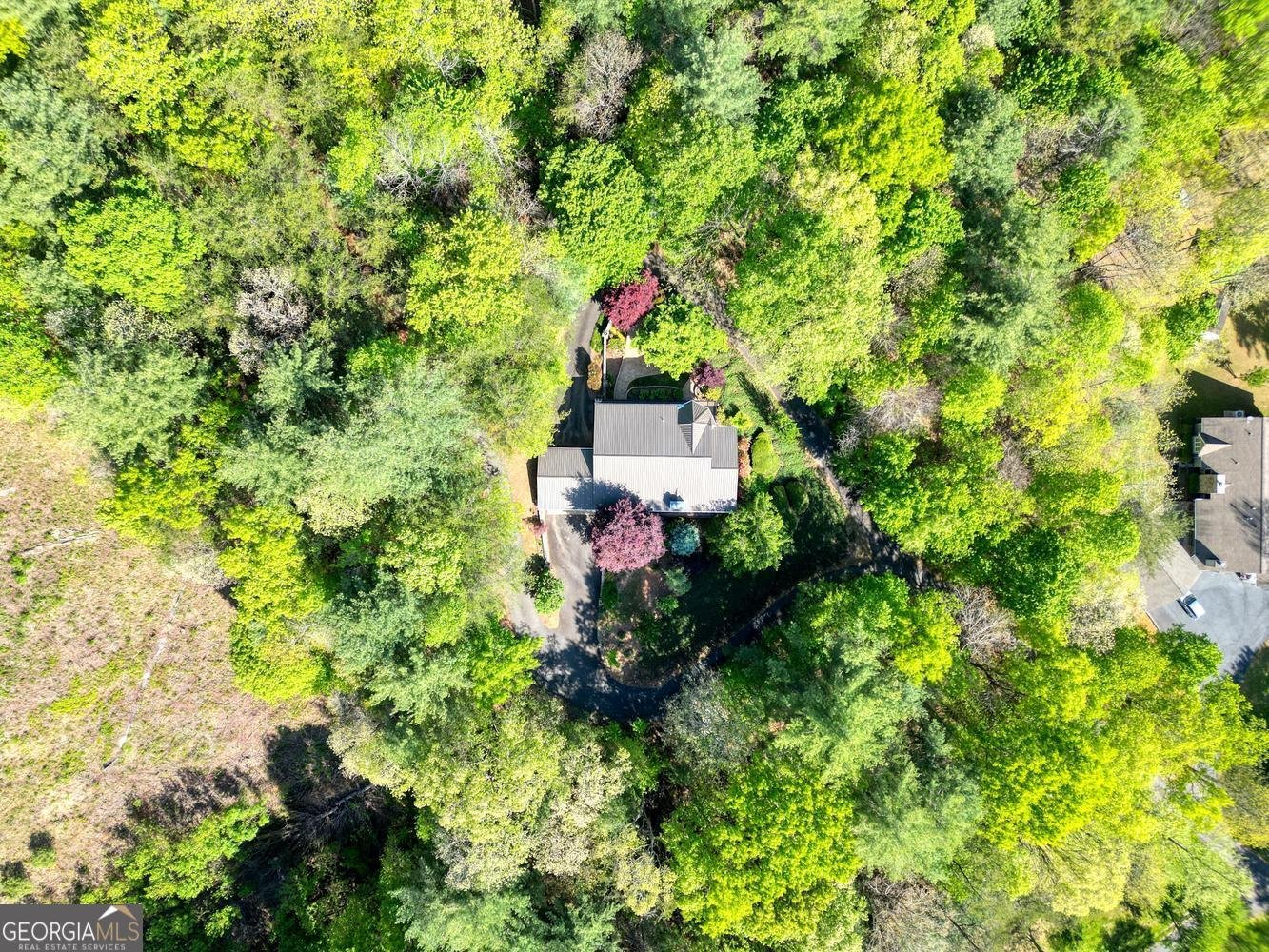 5940 Jackson Lane Young Harris - Photo 63