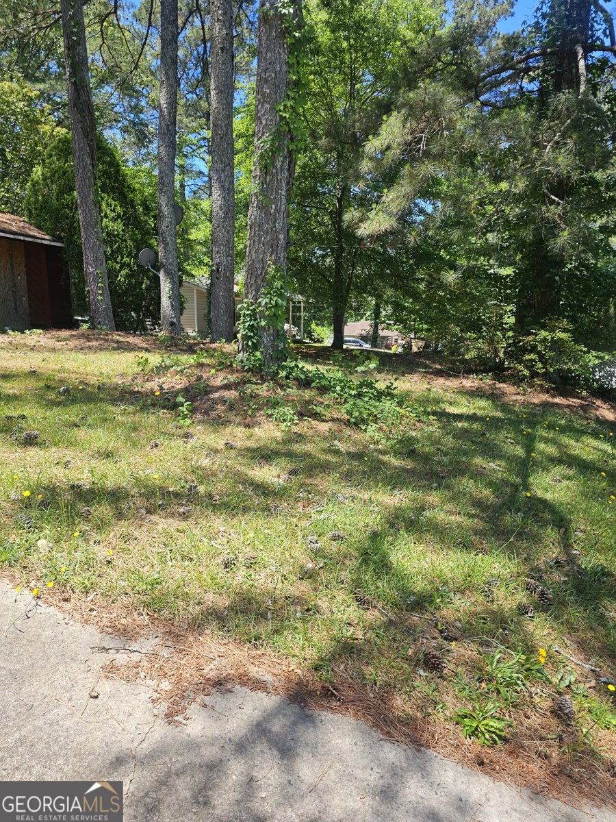 167 Iris Court Riverdale - Photo 33