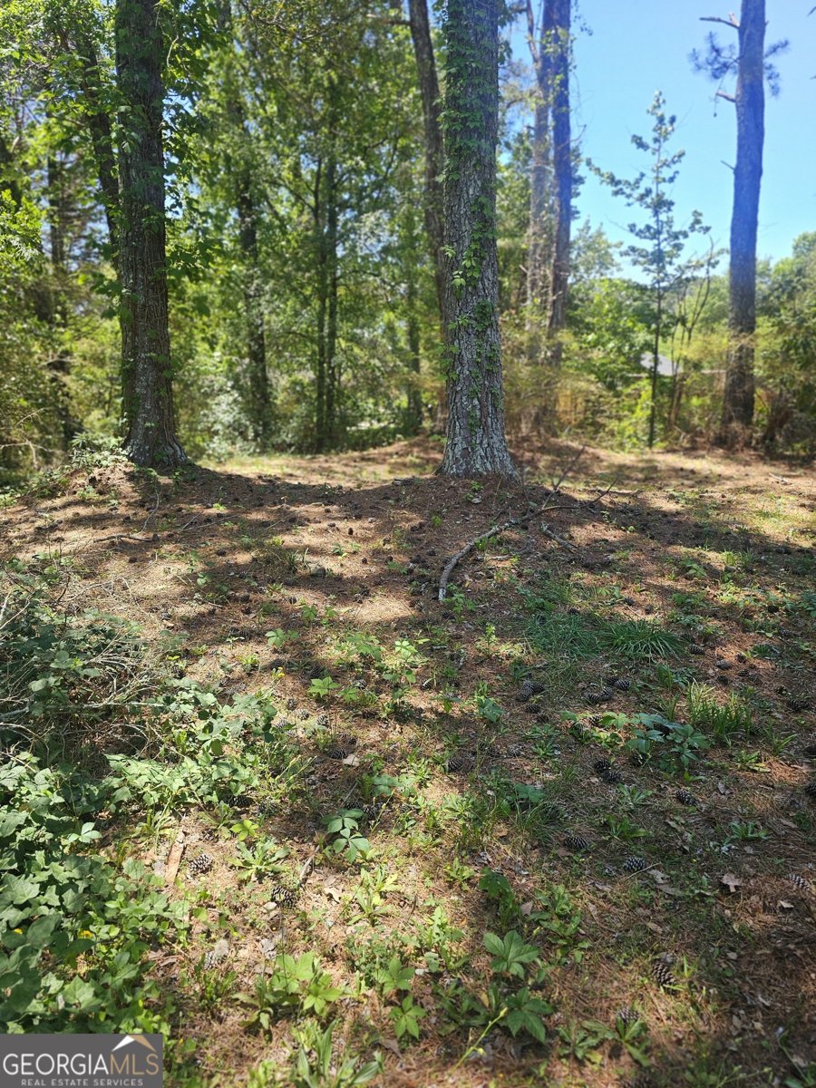 167 Iris Court Riverdale - Photo 34