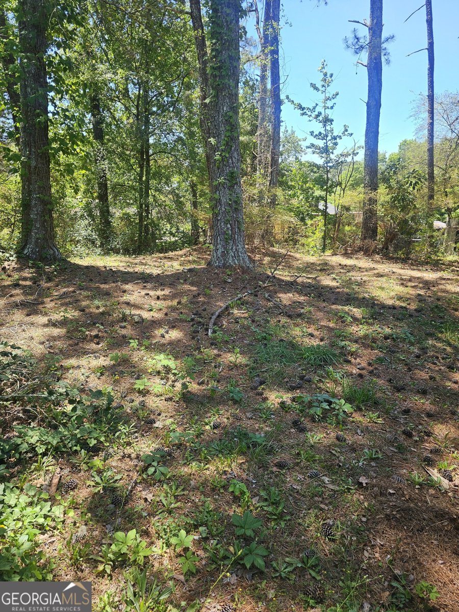 167 Iris Court Riverdale - Photo 37