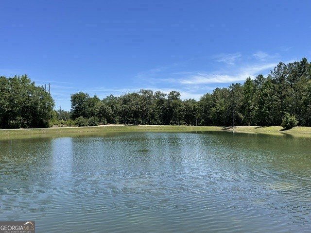 822 Heron's Walk Statesboro - Photo 9
