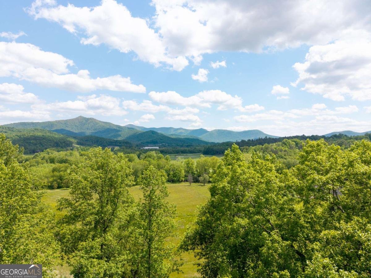 5686 Pine Crest Road Young Harris - Photo 67