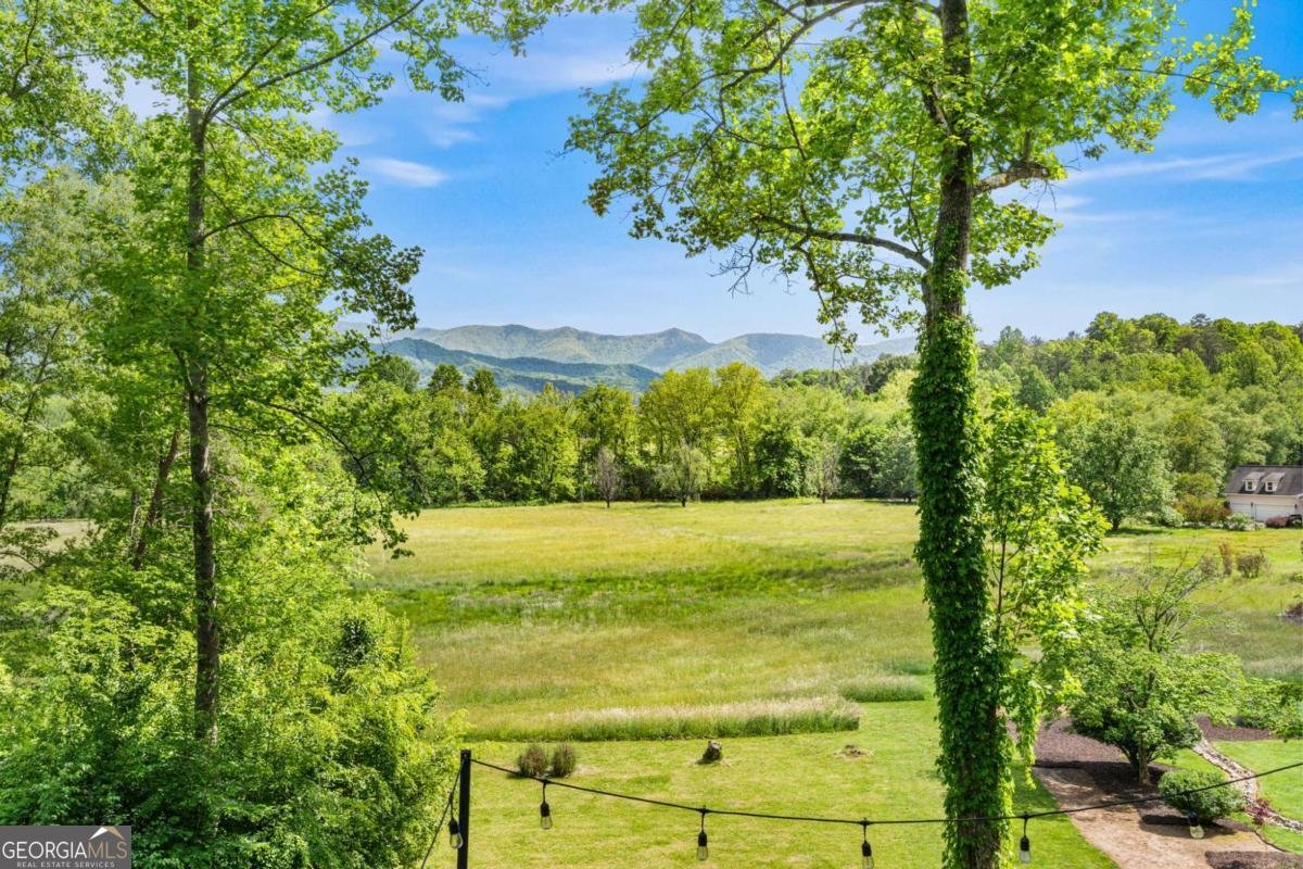 5686 Pine Crest Road Young Harris - Photo 68