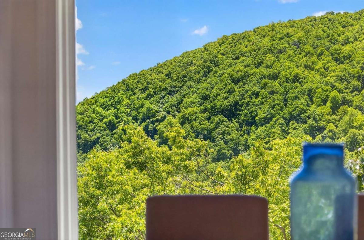 1091 Deer Run Ridge Jasper - Photo 48