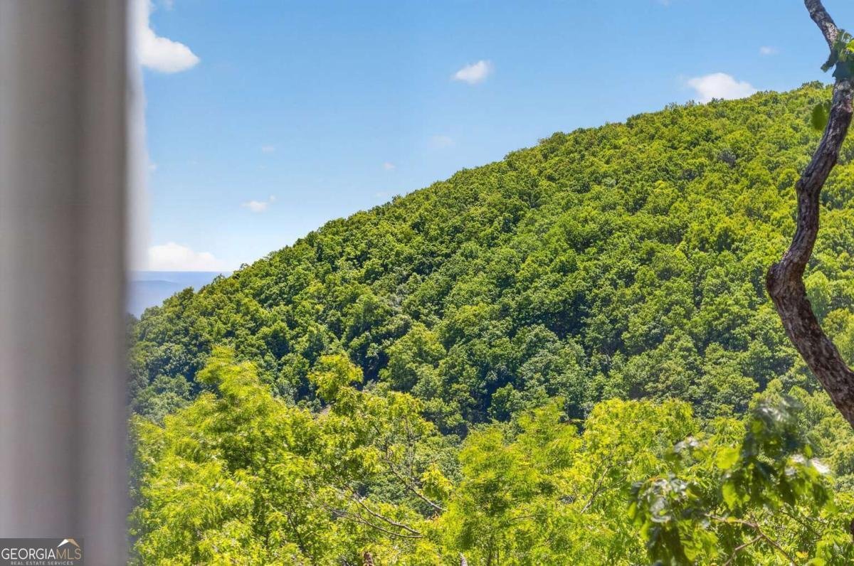 1091 Deer Run Ridge Jasper - Photo 49