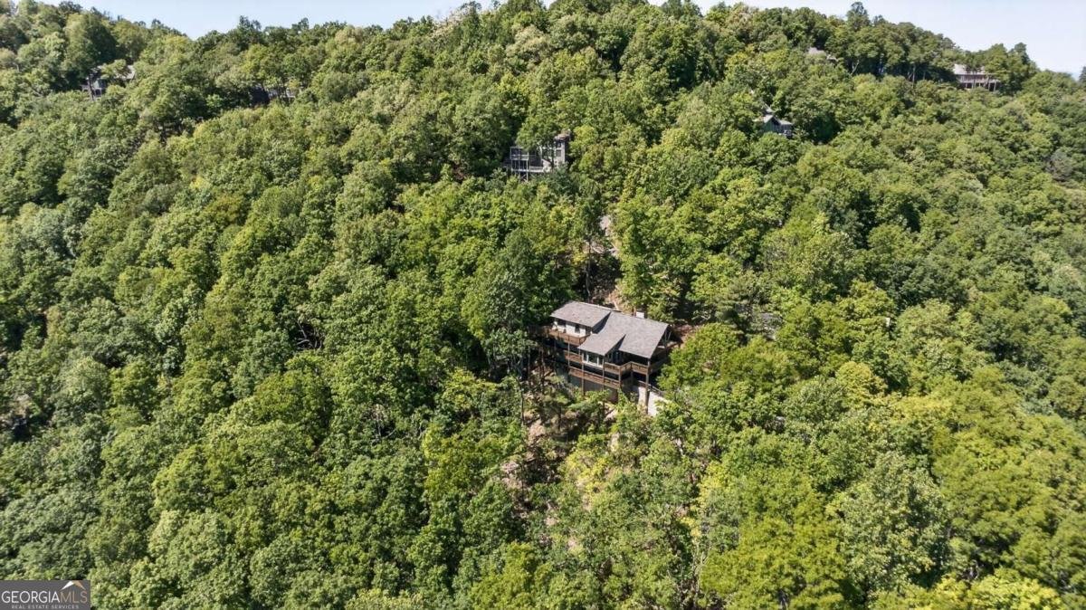 1091 Deer Run Ridge Jasper - Photo 8