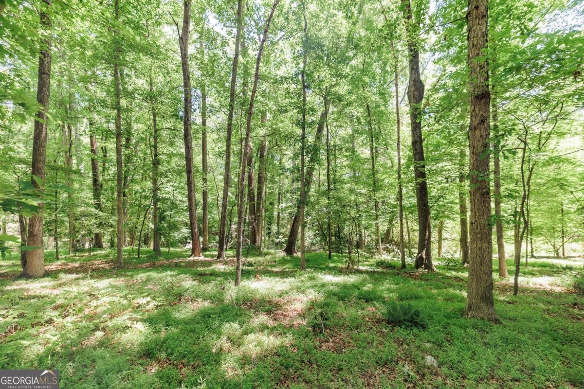 145 Pendleton Drive Athens - Photo 48