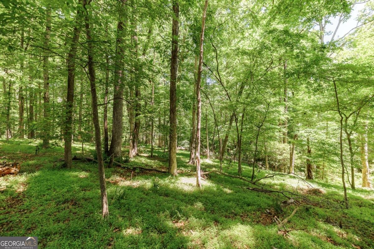 145 Pendleton Drive Athens - Photo 49