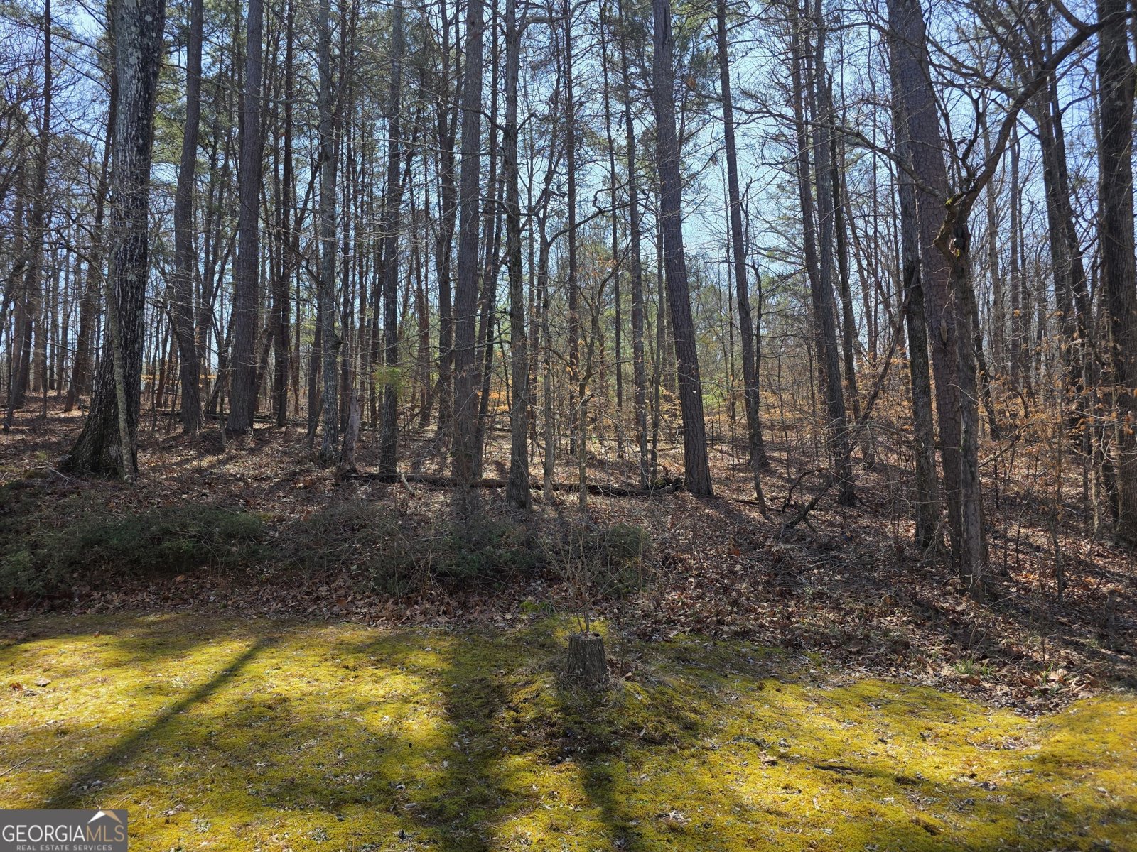 597 Arbor Ridge Drive Stone Mountain - Photo 54