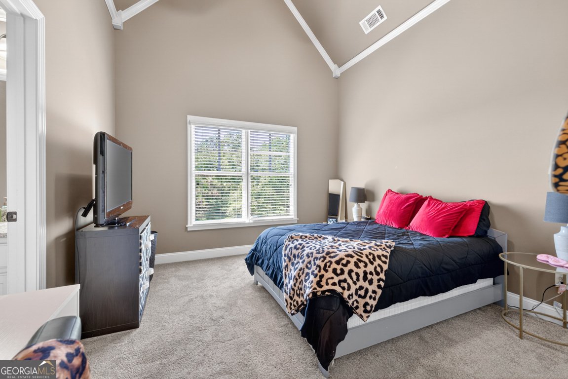 4259 Sierra Creek Drive Hoschton - Photo 45