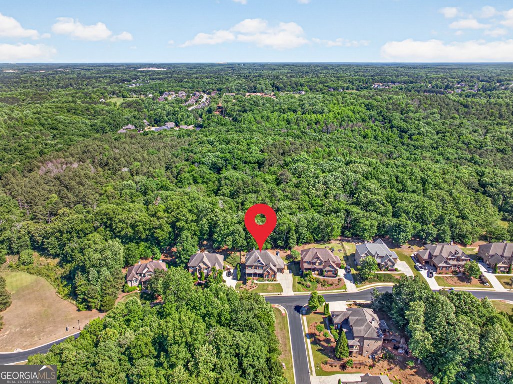 4259 Sierra Creek Drive Hoschton - Photo 63