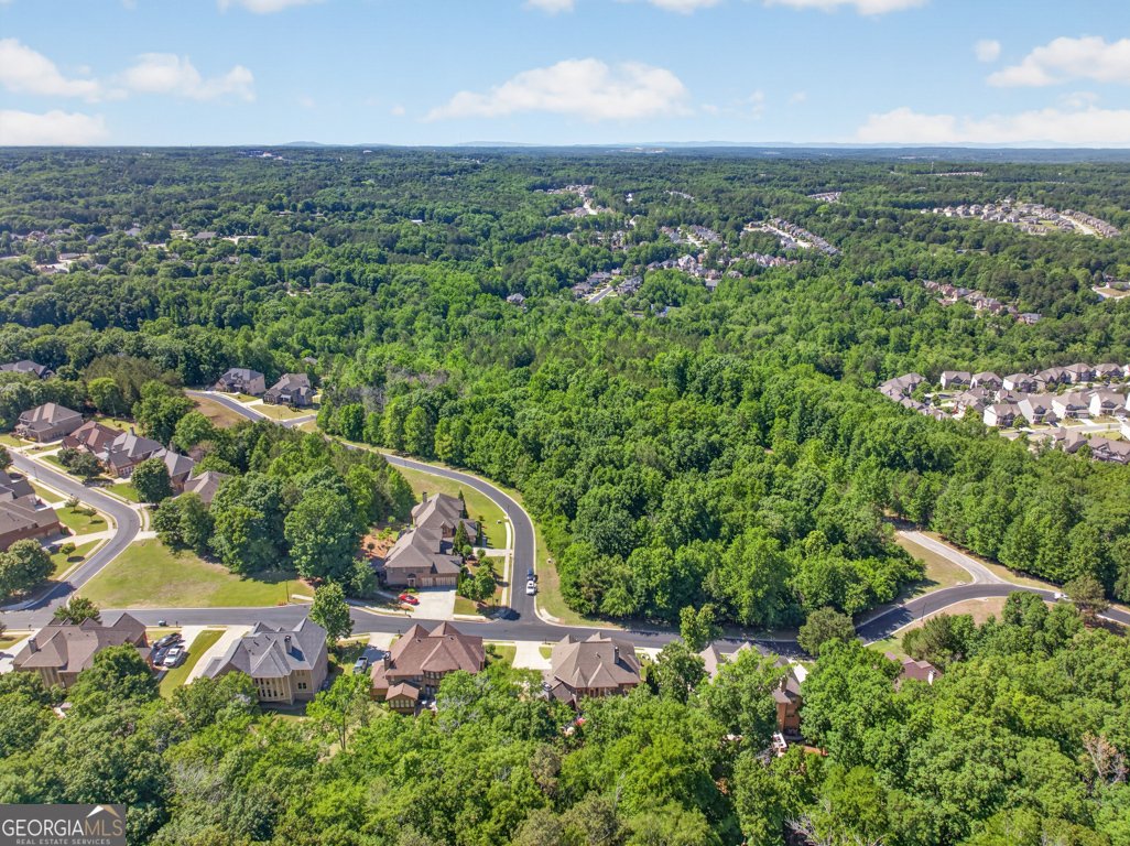 4259 Sierra Creek Drive Hoschton - Photo 65