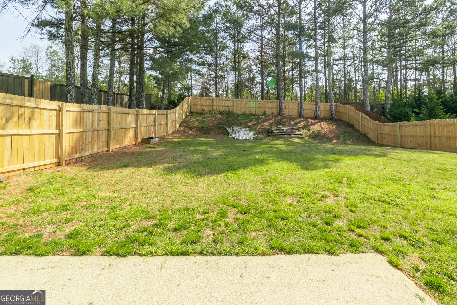 272 Augusta Woods Drive Villa Rica - Photo 10