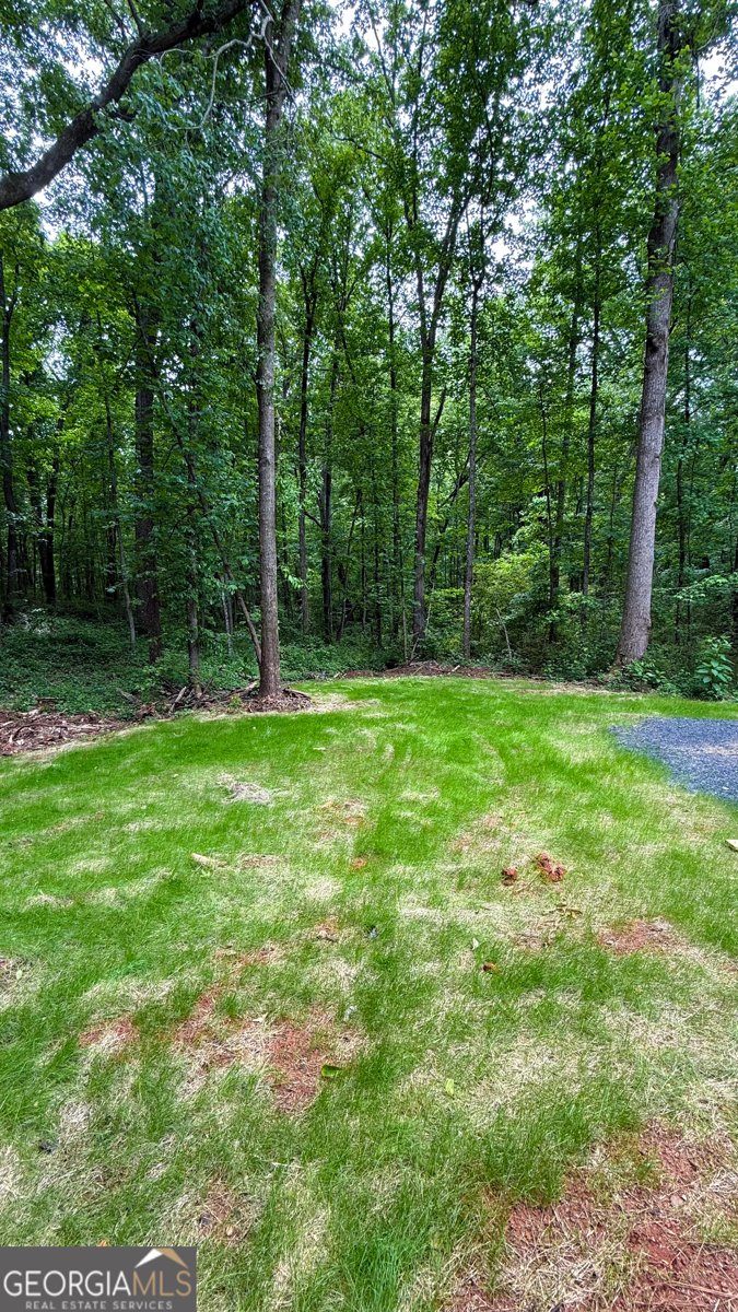 48 Martin Street Carrollton - Photo 12