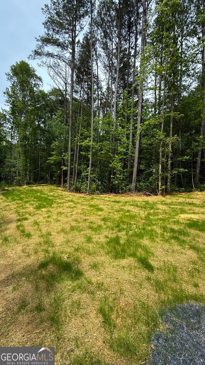 48 Martin Street Carrollton - Photo 13