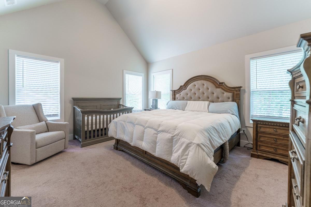 46 Longview Drive Dawsonville - Photo 17
