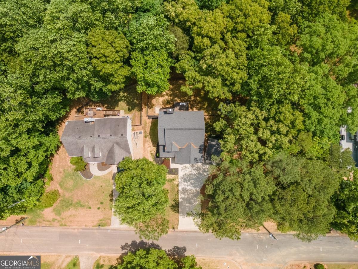 46 Longview Drive Dawsonville - Photo 49