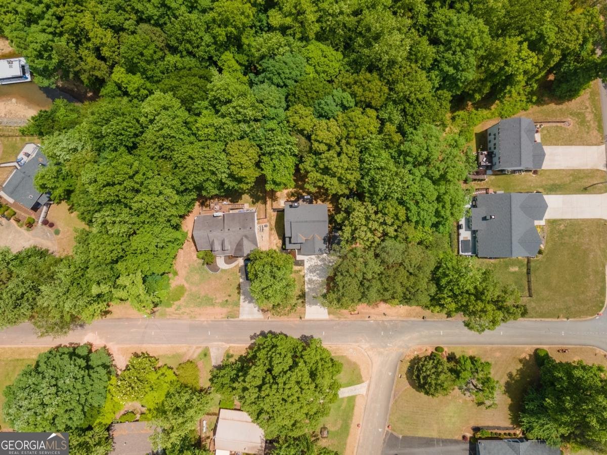 46 Longview Drive Dawsonville - Photo 50