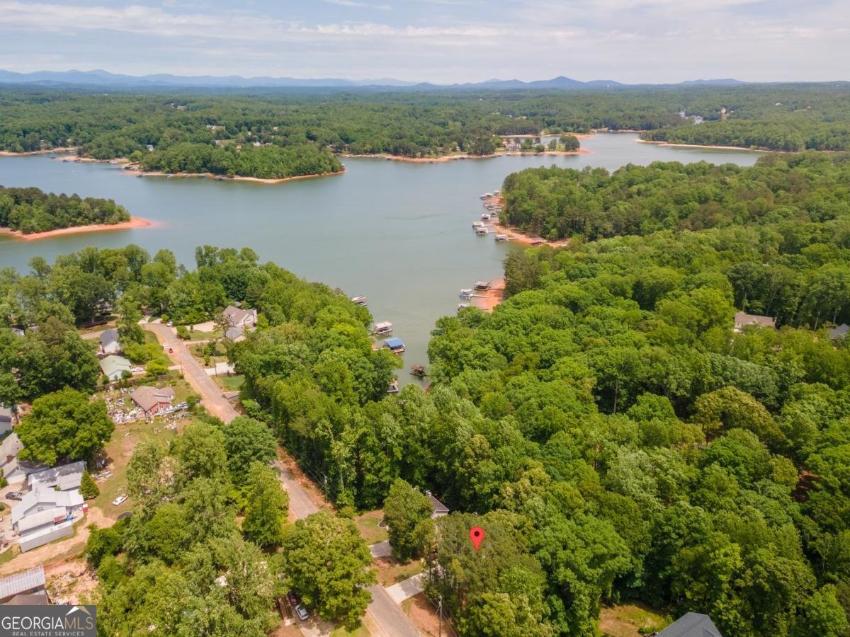 46 Longview Drive Dawsonville - Photo 51