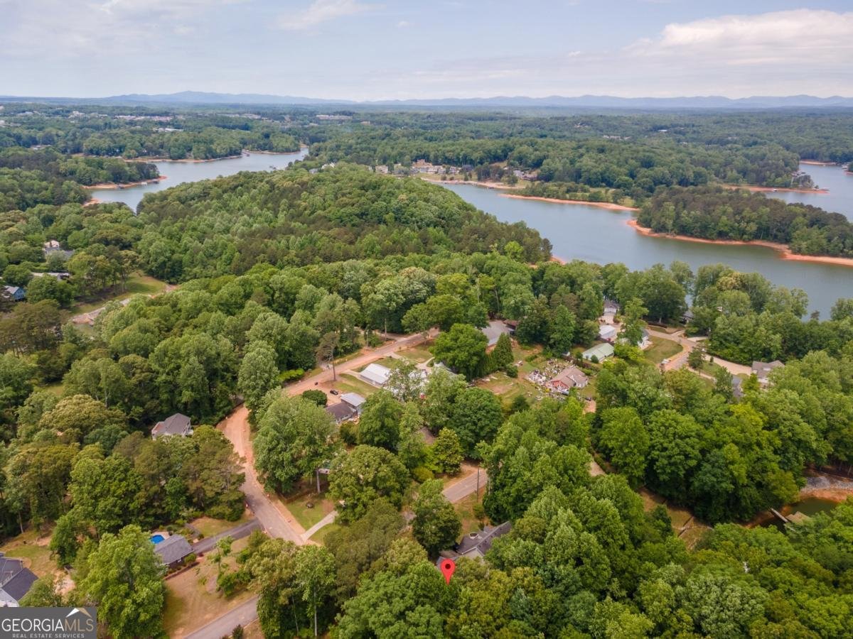 46 Longview Drive Dawsonville - Photo 52