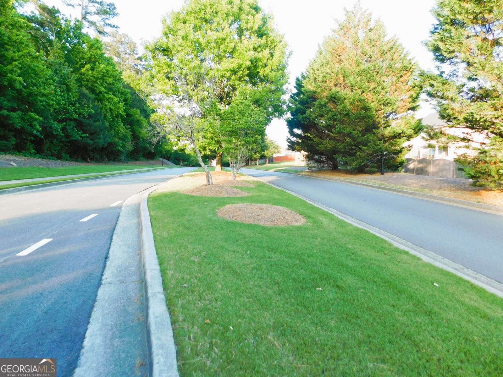 112 Arena Trail Dallas - Photo 42