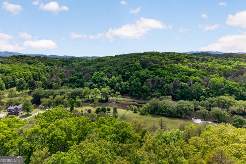28 Fish Camp Way Mineral Bluff - Photo 65