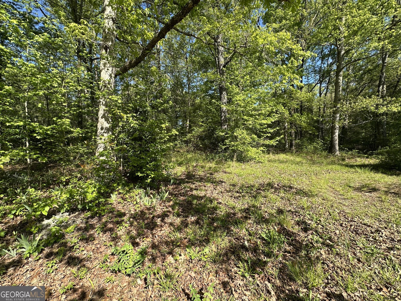 885 Turner Bridge Road Meansville - Photo 27