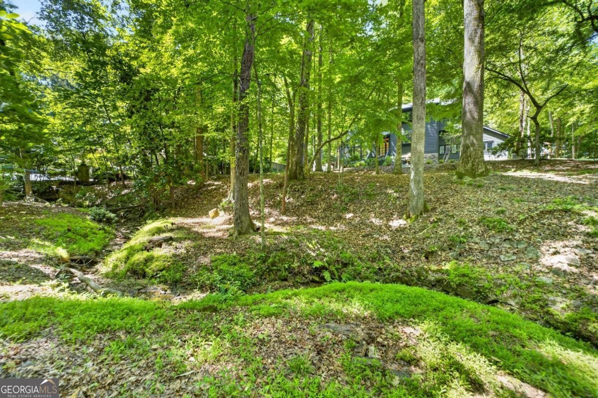 8110 Ball Mill Road Atlanta - Photo 65