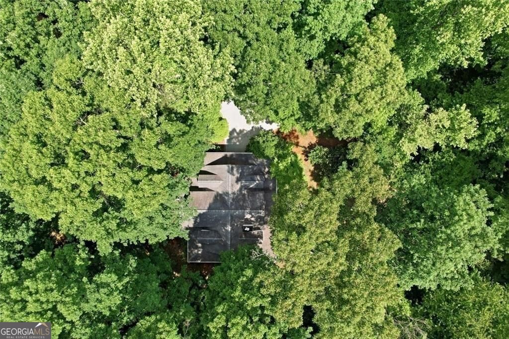 3259 Etchison Road Loganville - Photo 43