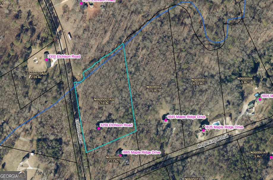 3259 Etchison Road Loganville - Photo 45