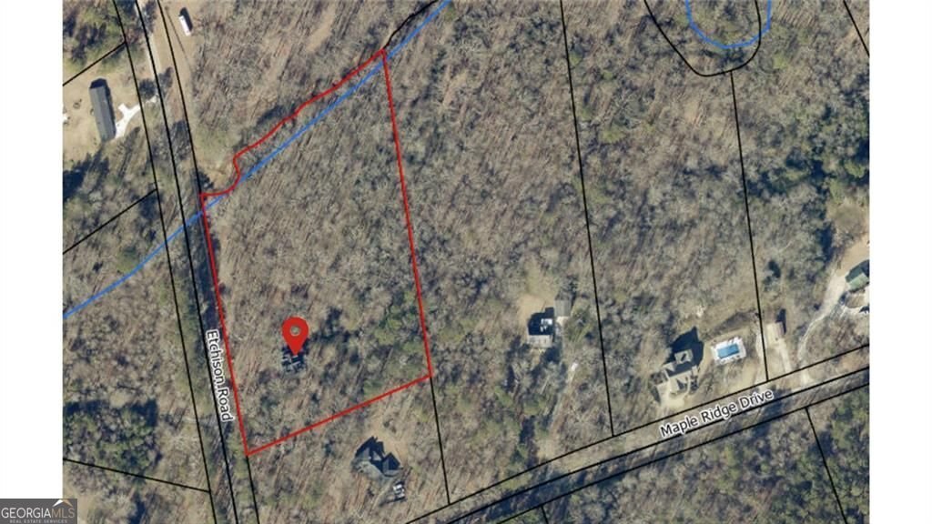 3259 Etchison Road Loganville - Photo 46