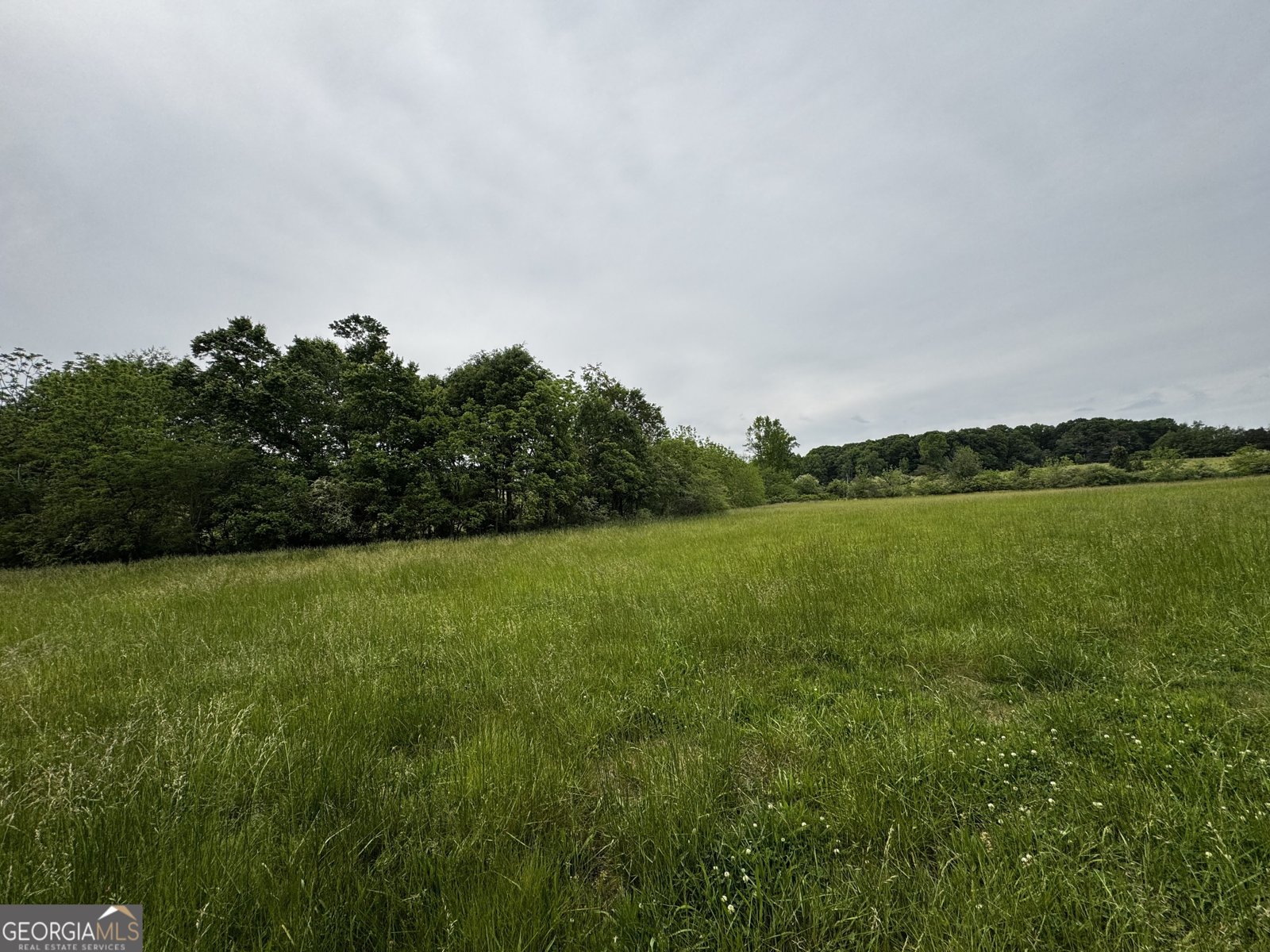 5286 Highway 75 Cleveland - Photo 12