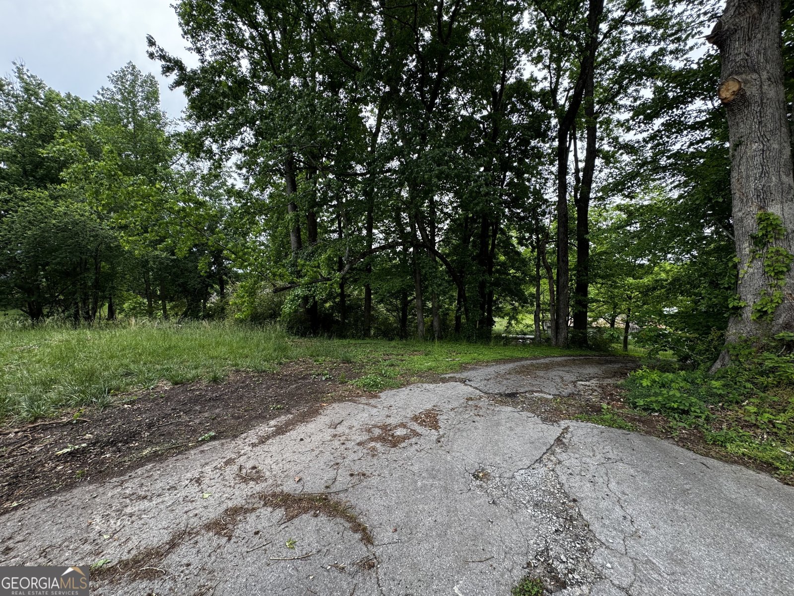 5286 Highway 75 Cleveland - Photo 18