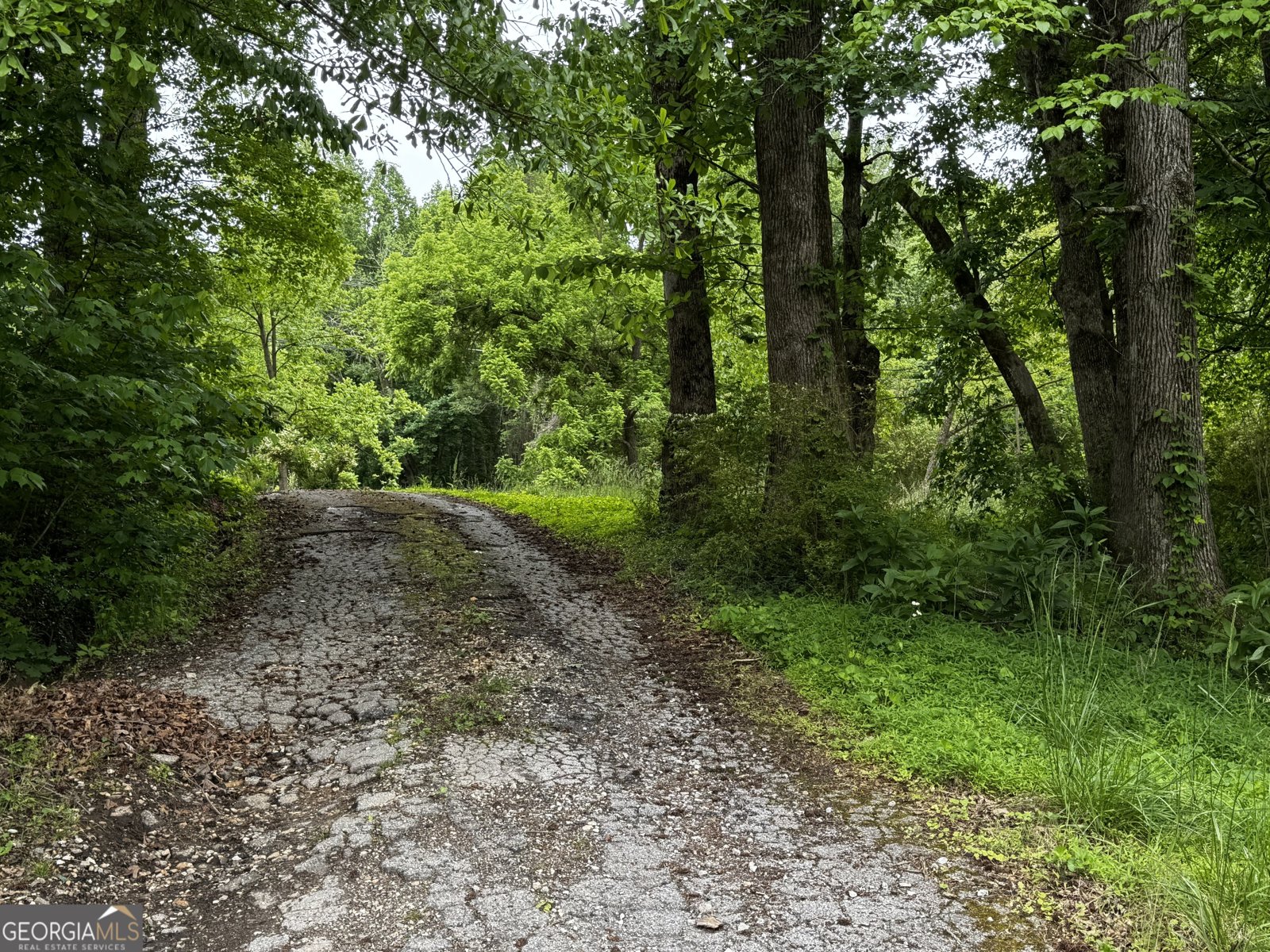 5286 Highway 75 Cleveland - Photo 6