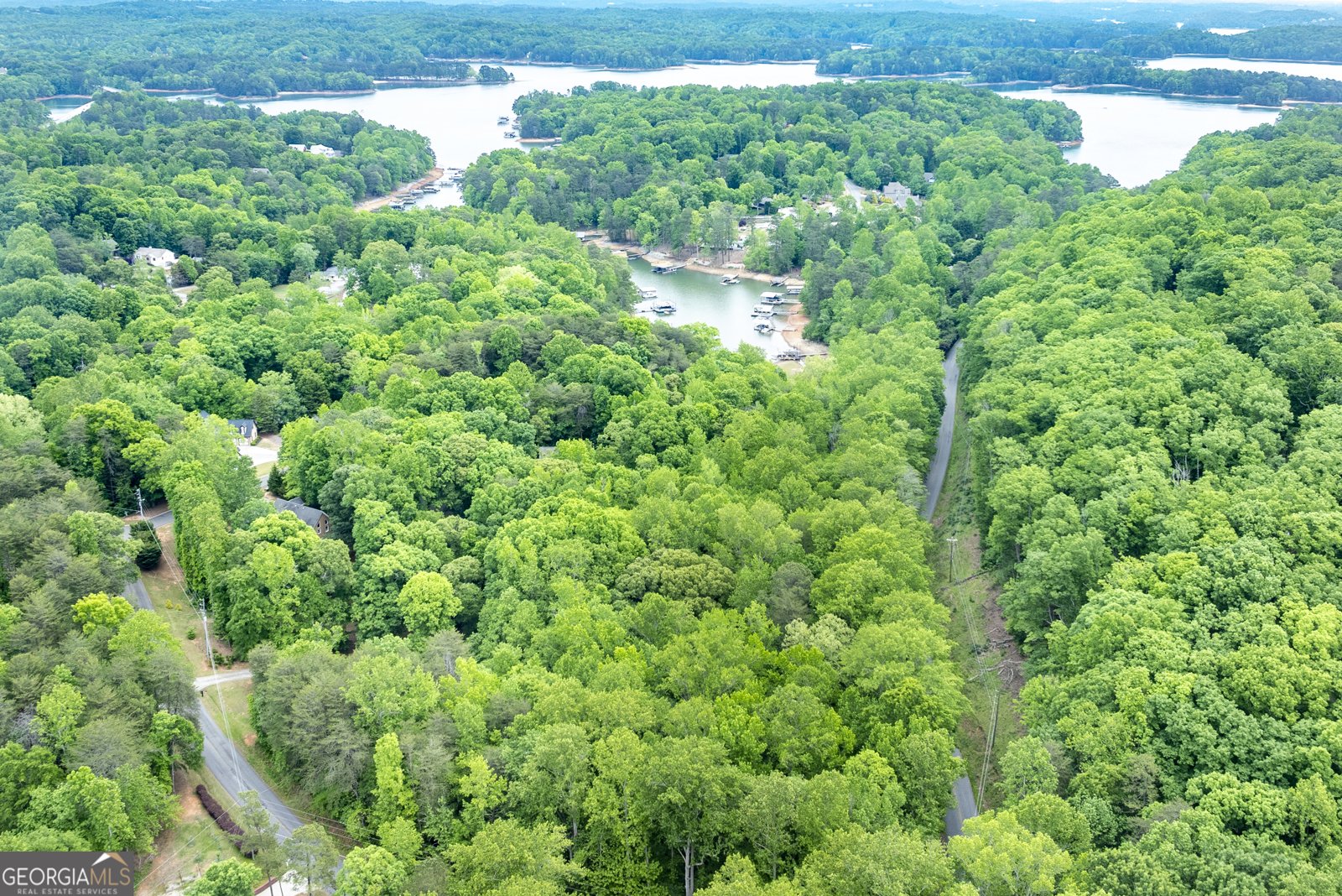 4674 Chestatee Heights Road Gainesville - Photo 40