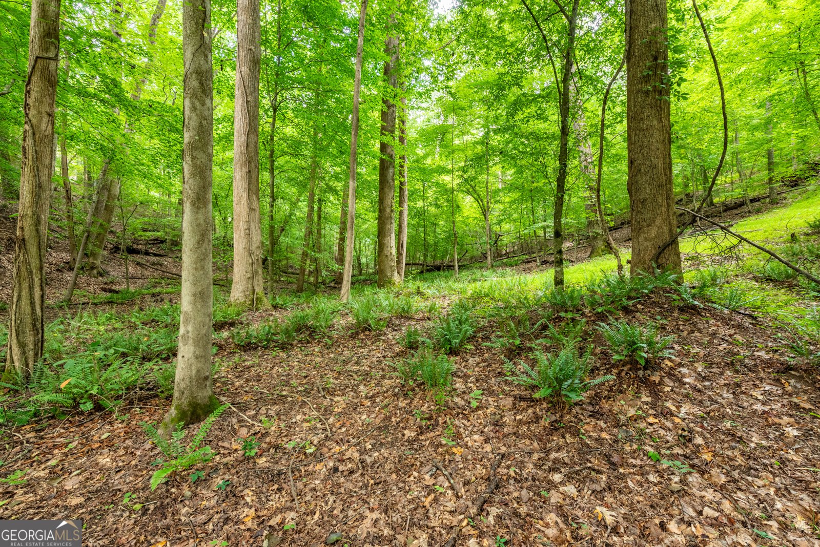 4674 Chestatee Heights Road Gainesville - Photo 43