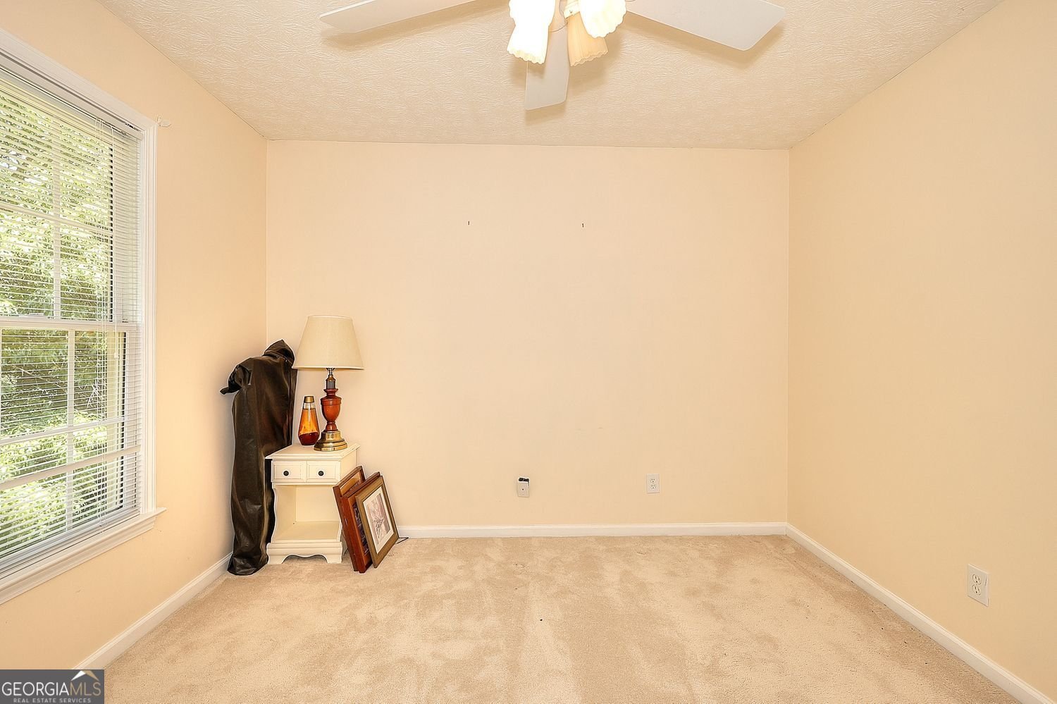 121 Brookhaven Lane Canton - Photo 25