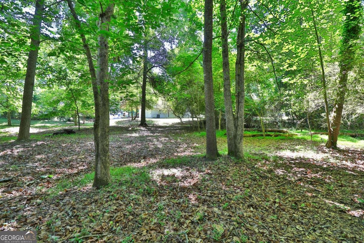 353 Fall View Court Winder - Photo 59