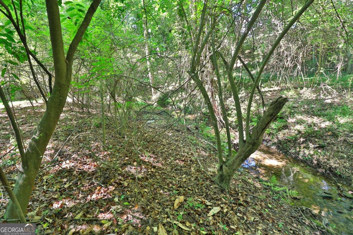 353 Fall View Court Winder - Photo 60