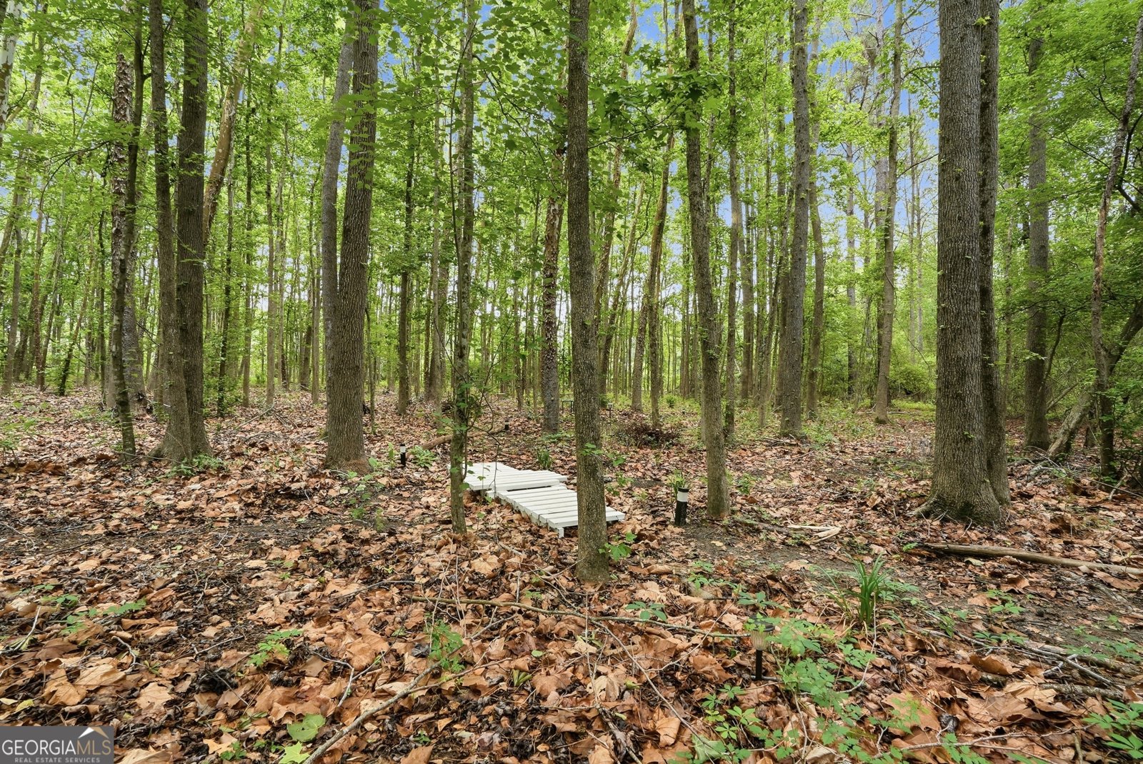 137 Windmill Plantation Drive Statesboro - Photo 31