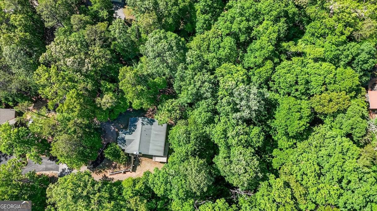 61 Gemini Court Ellijay - Photo 29