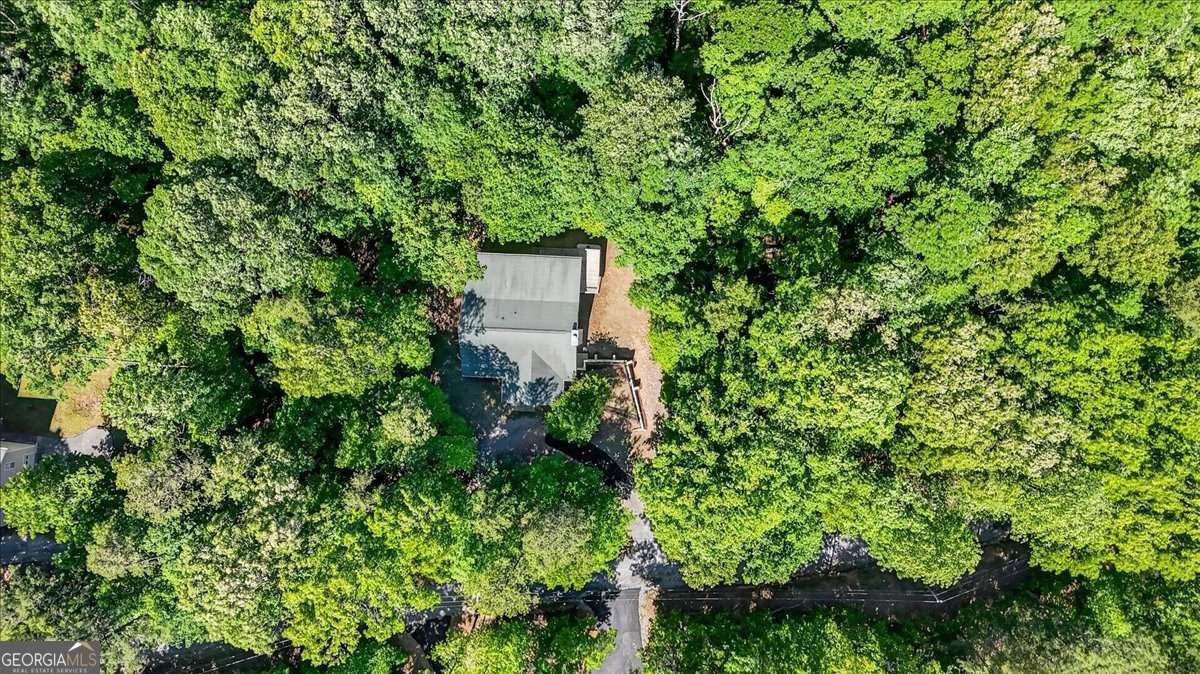 61 Gemini Court Ellijay - Photo 31